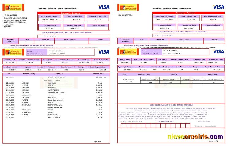 USA Syndicate bank credit card statement 3 pages